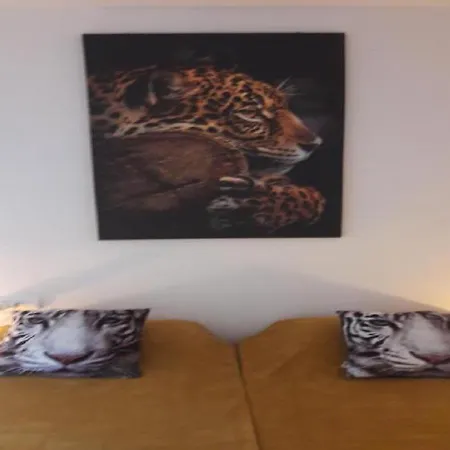 Oasis: Equipped With Terrace, Pools & Free Amenities