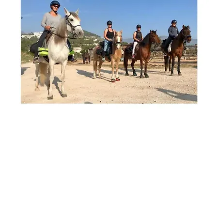 Oasis: Equipped With Terrace, Pools & Free Amenities