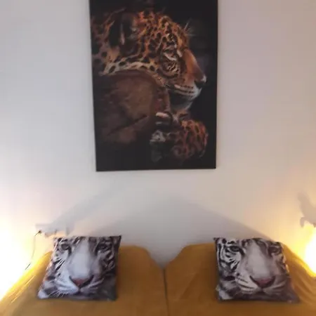 Oasis: Equipped With Terrace, Pools & Free Amenities